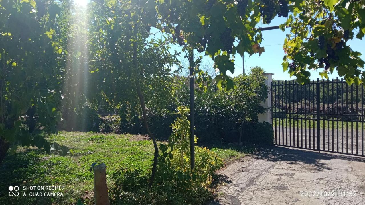 Etna, Salvia E Rosmarino Villa Maletto Luaran gambar