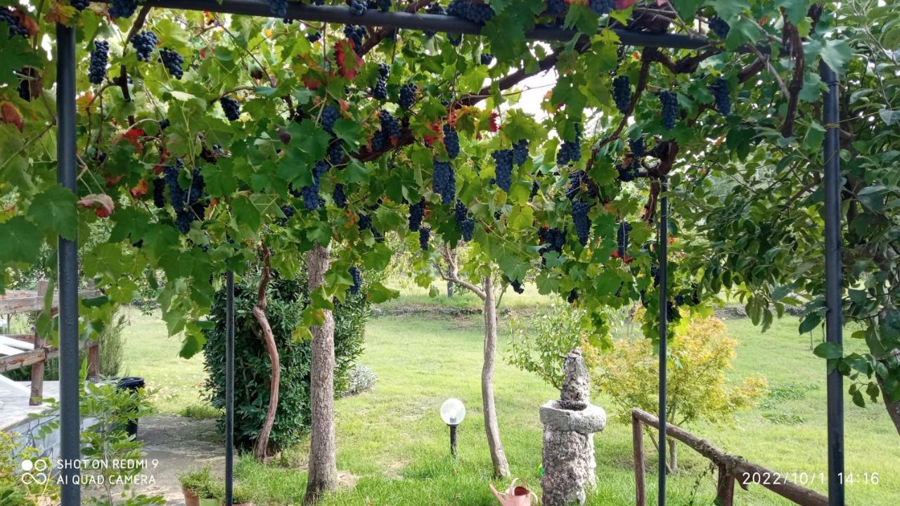 Etna, Salvia E Rosmarino Villa Maletto Luaran gambar