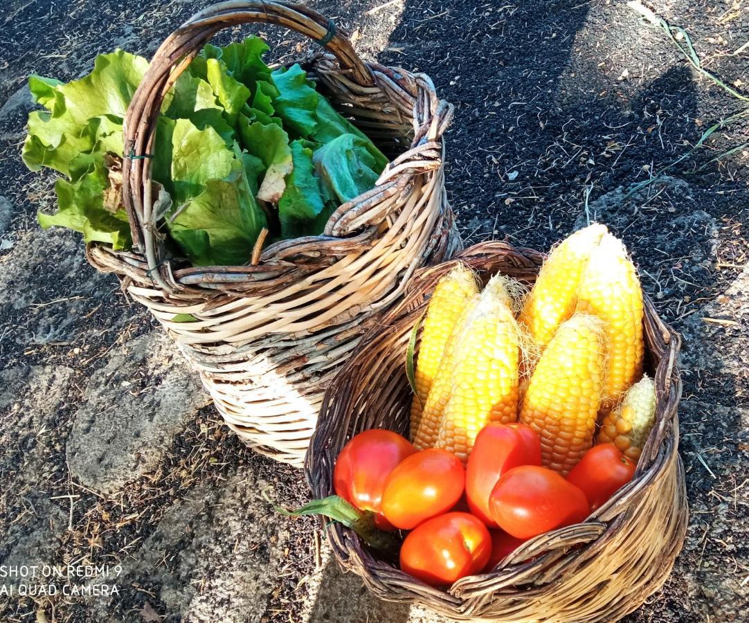 Etna, Salvia E Rosmarino Villa Maletto Luaran gambar