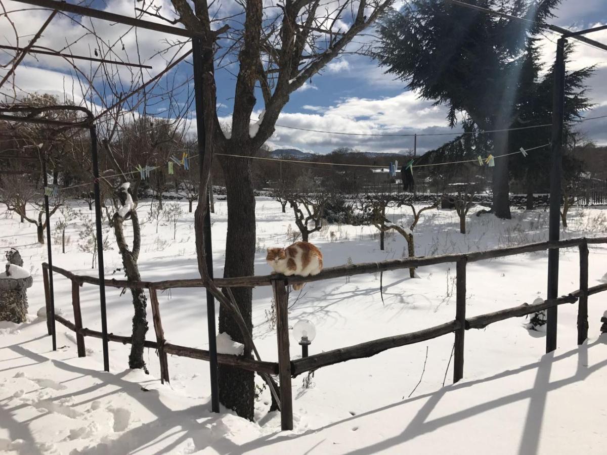 Etna, Salvia E Rosmarino Villa Maletto Luaran gambar